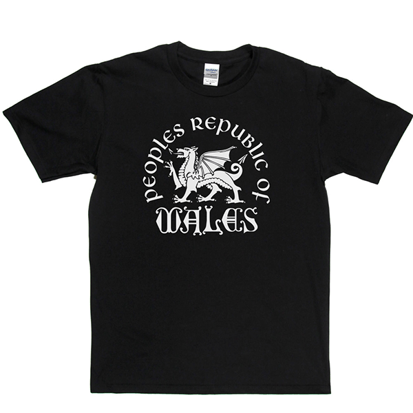 Republic of Wales T Shirt product image 6