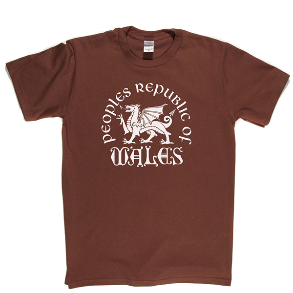 Republic of Wales T Shirt product image 5