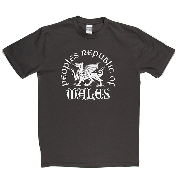 Republic of Wales T Shirt product image 3