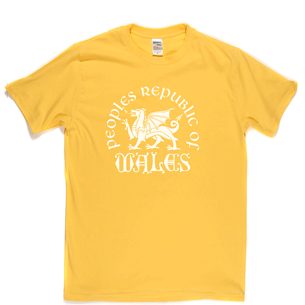Republic of Wales T Shirt product image 8