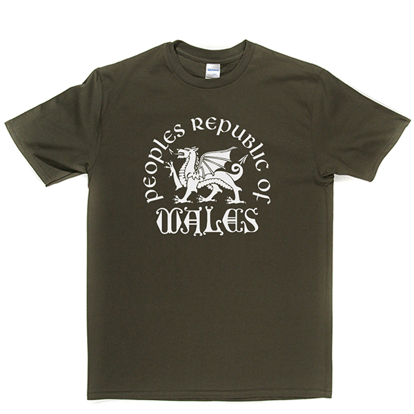 Republic of Wales T Shirt product image 12