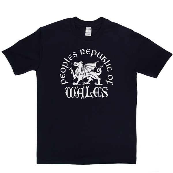 Republic of Wales T Shirt product image 7