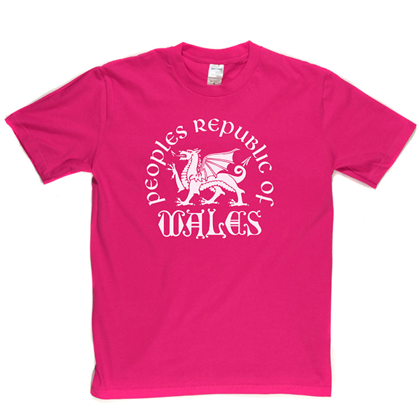 Republic of Wales T Shirt product image 4