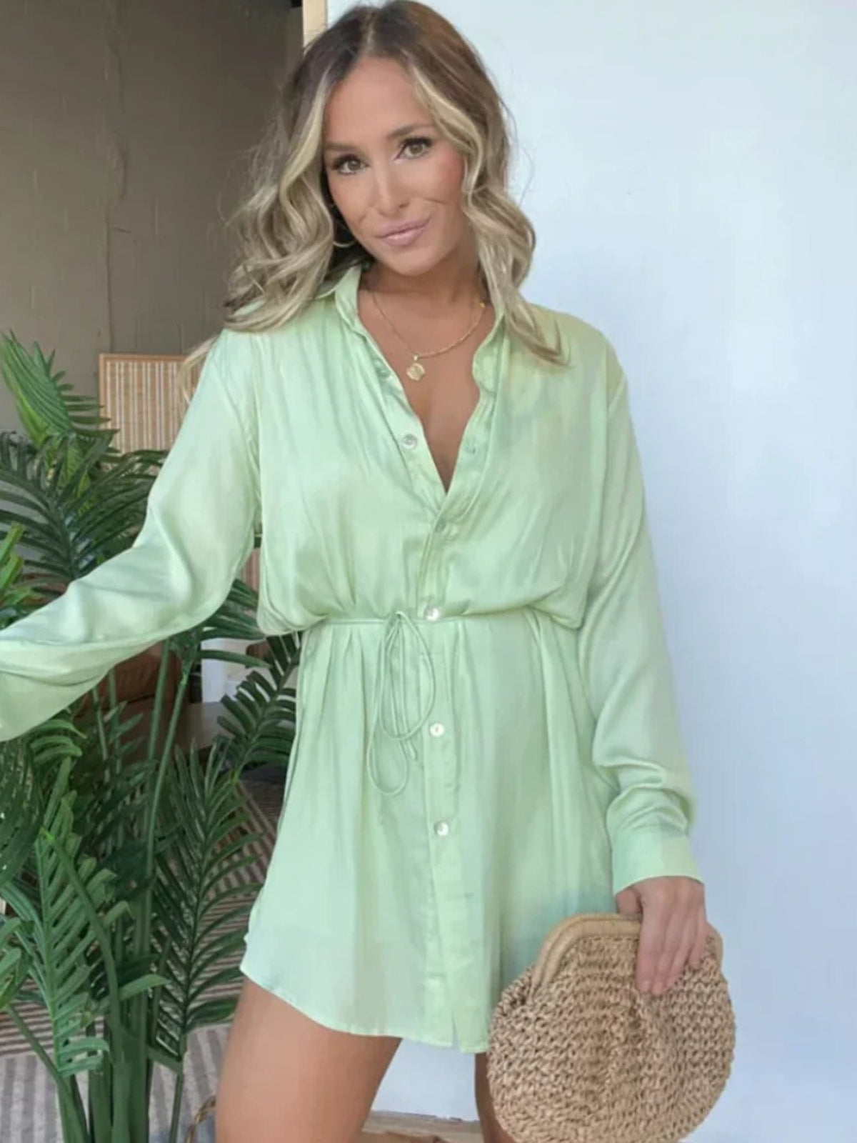 Full Size Button-Down Mini Shirt Dress product image 1