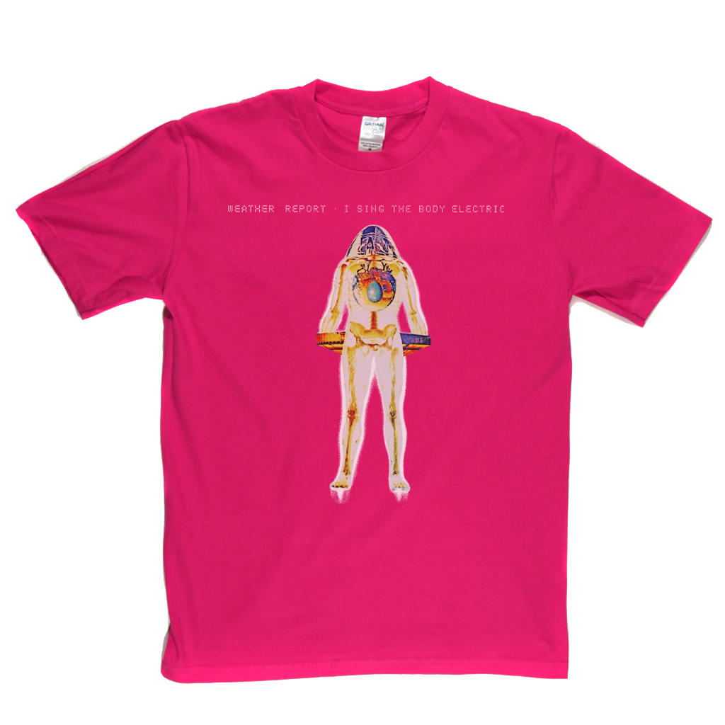 Weather Report I Sing The Body Electric T-Shirt product image 6