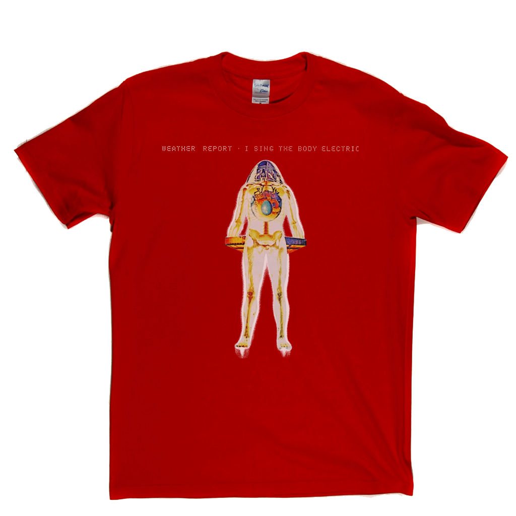 Weather Report I Sing The Body Electric T-Shirt product image 7