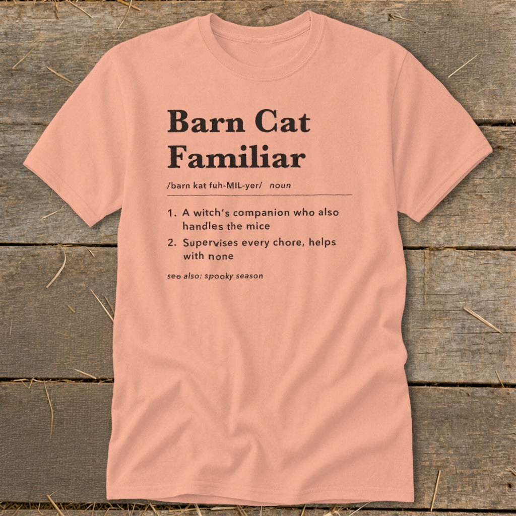 Barn Cat Familiar Definition Classic Tee product image 4