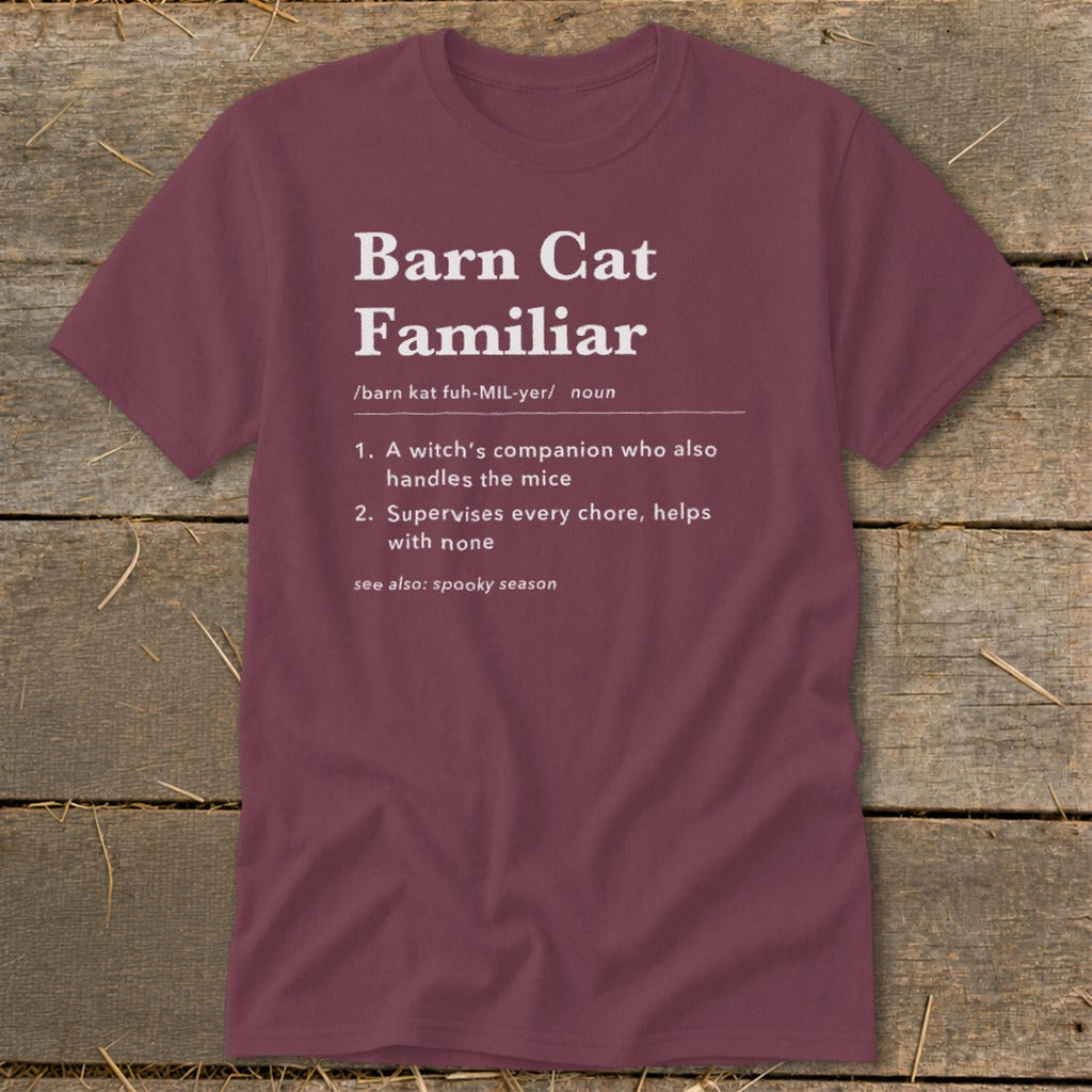 Barn Cat Familiar Definition Classic Tee product image 1