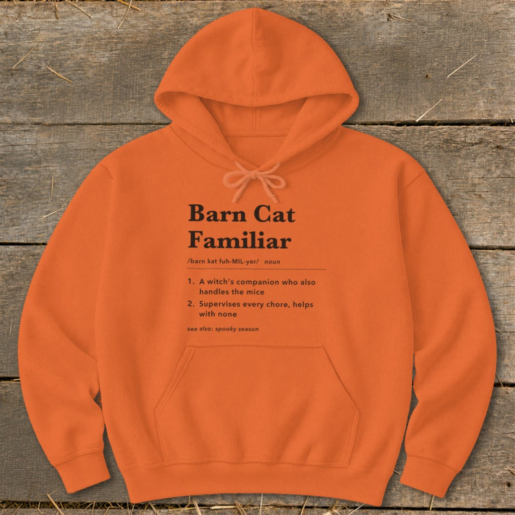 Barn Cat Familiar Definition Hoodie product image 10
