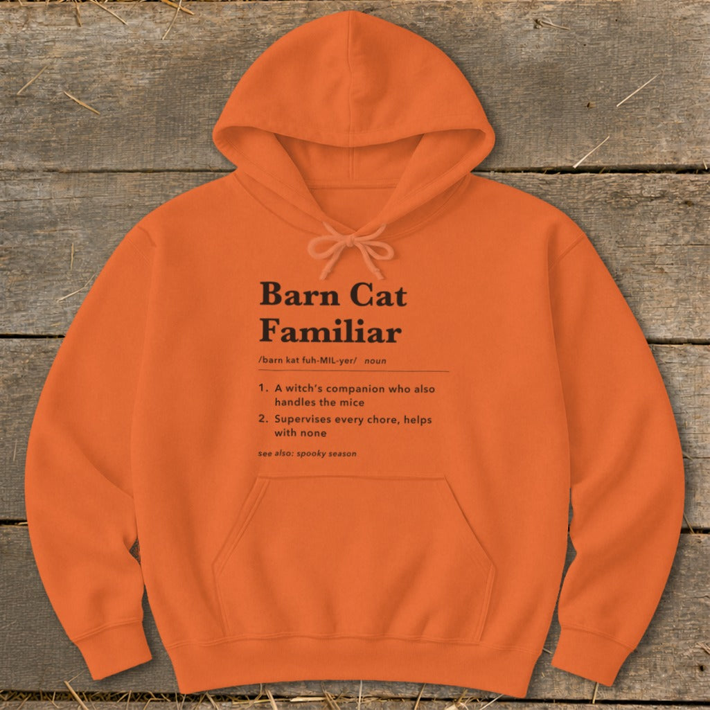 Barn Cat Familiar Definition Hoodie product image 10