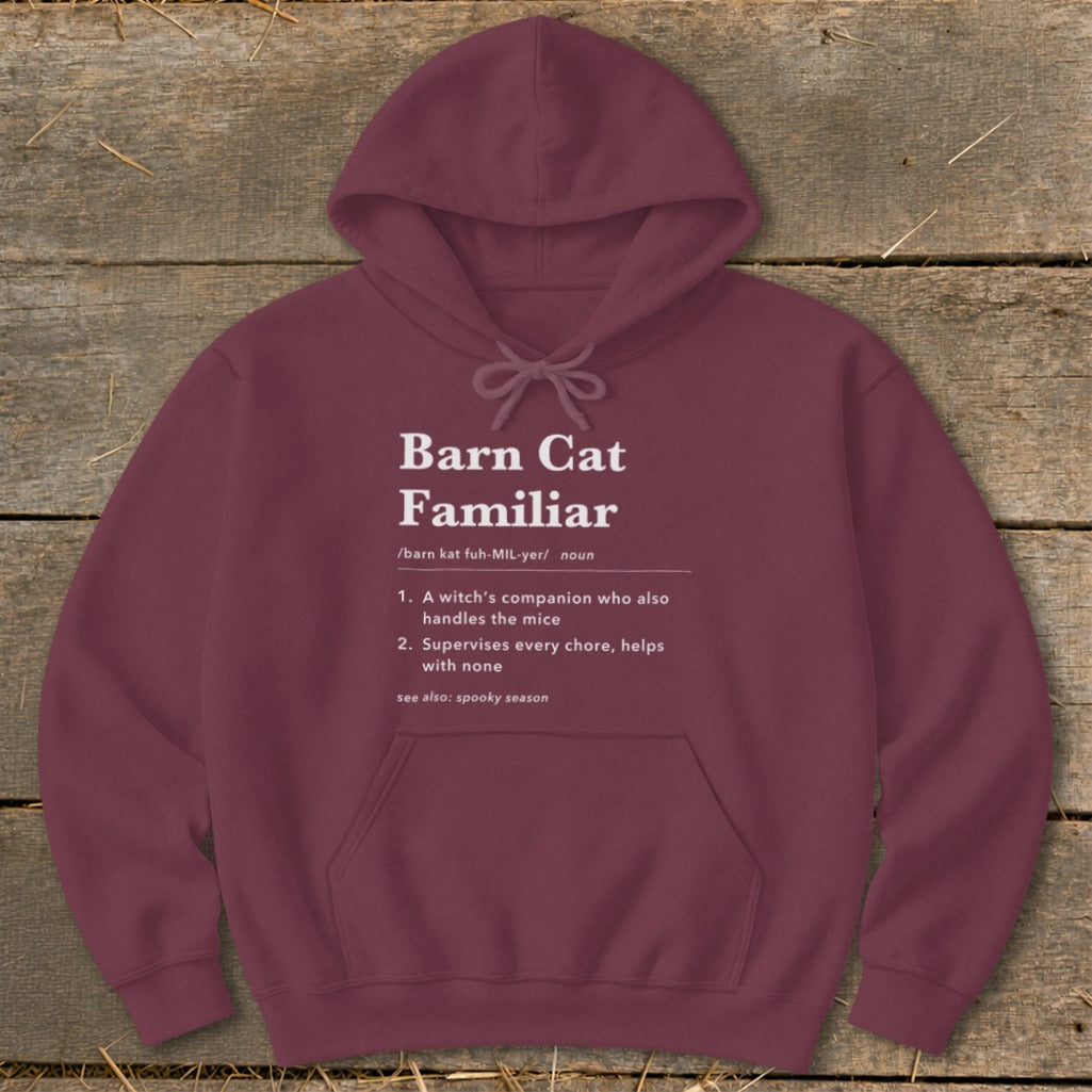 Barn Cat Familiar Definition Hoodie product image 6