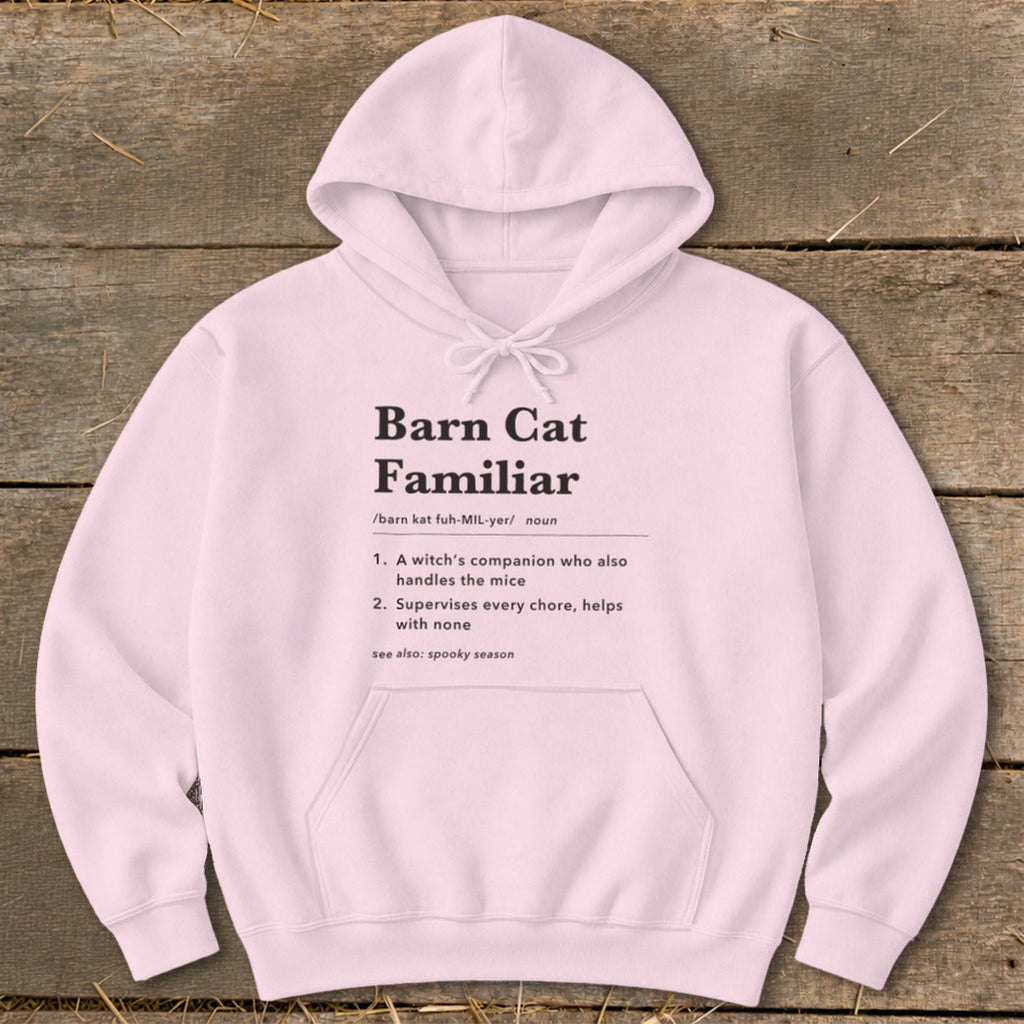Barn Cat Familiar Definition Hoodie product image 8