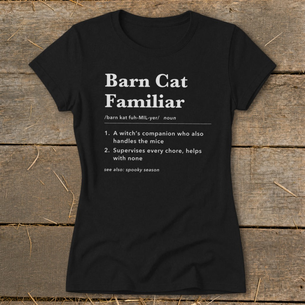 Barn Cat Familiar Definition Ladies Tee product image 2