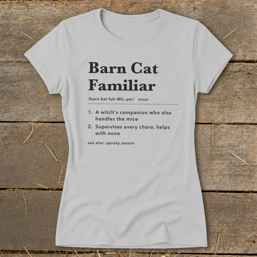 Barn Cat Familiar Definition Ladies Tee product image 1