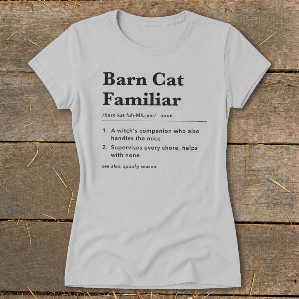 Barn Cat Familiar Definition Ladies Tee product image 1