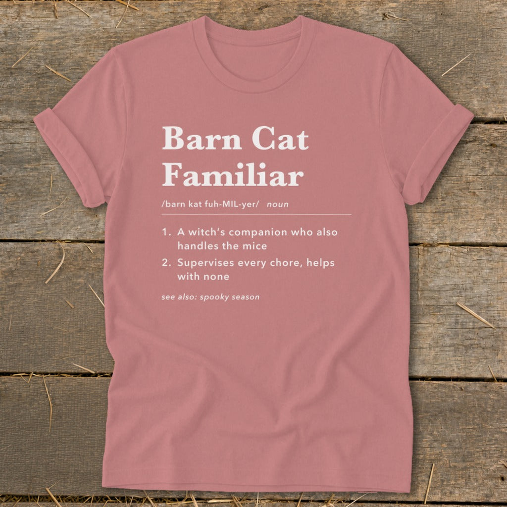 Barn Cat Familiar Definition Softstyle Tee product image 9
