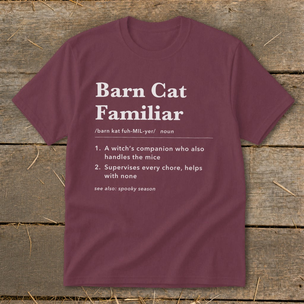 Barn Cat Familiar Definition Youth Tee product image 6