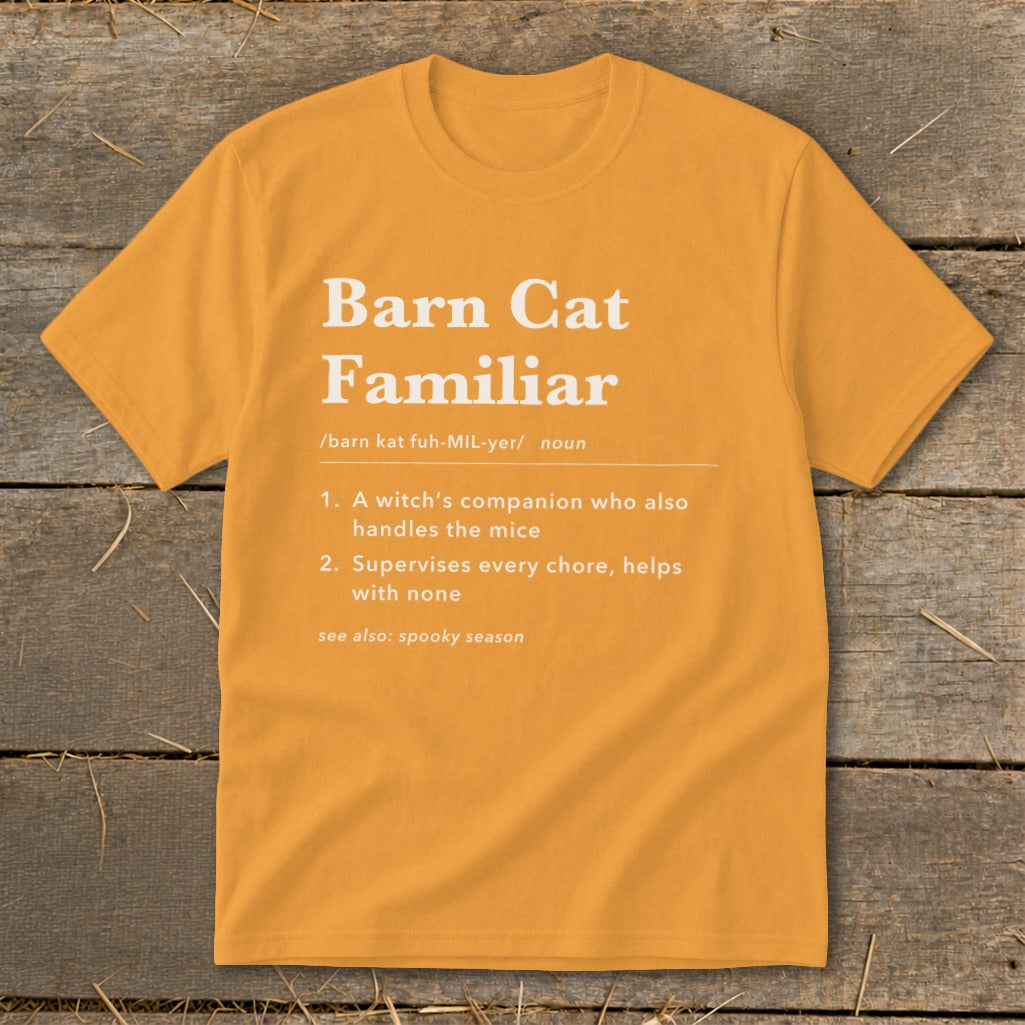 Barn Cat Familiar Definition Youth Tee product image 7