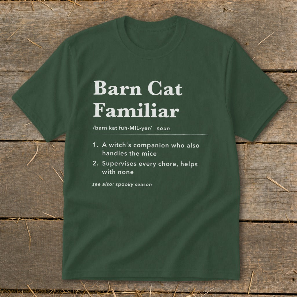 Barn Cat Familiar Definition Youth Tee product image 1
