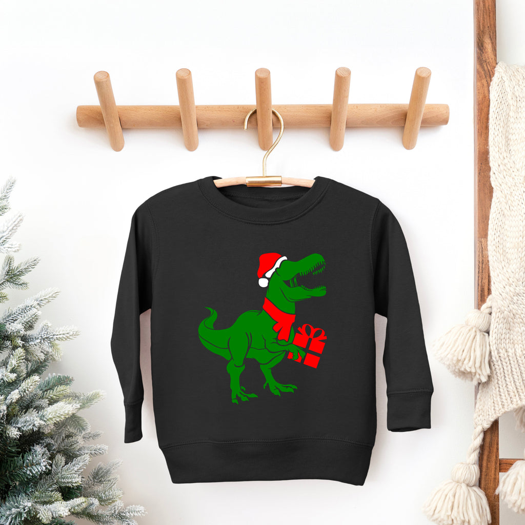 Dino Present | Youth Ultra-Soft Graphic Sweatshirt product image 1