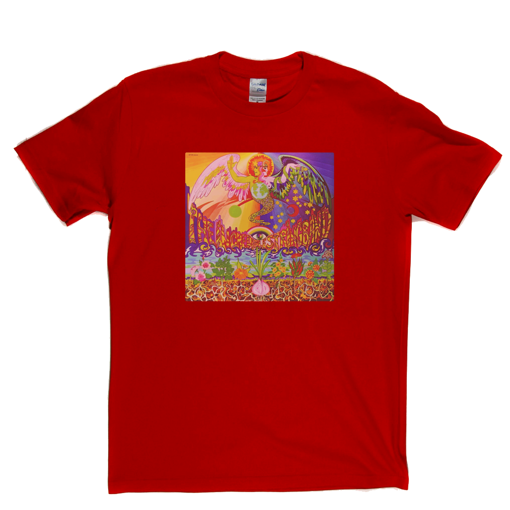 The Incredible String Band 5000 Spirits Or Layers Of Onion product image 2