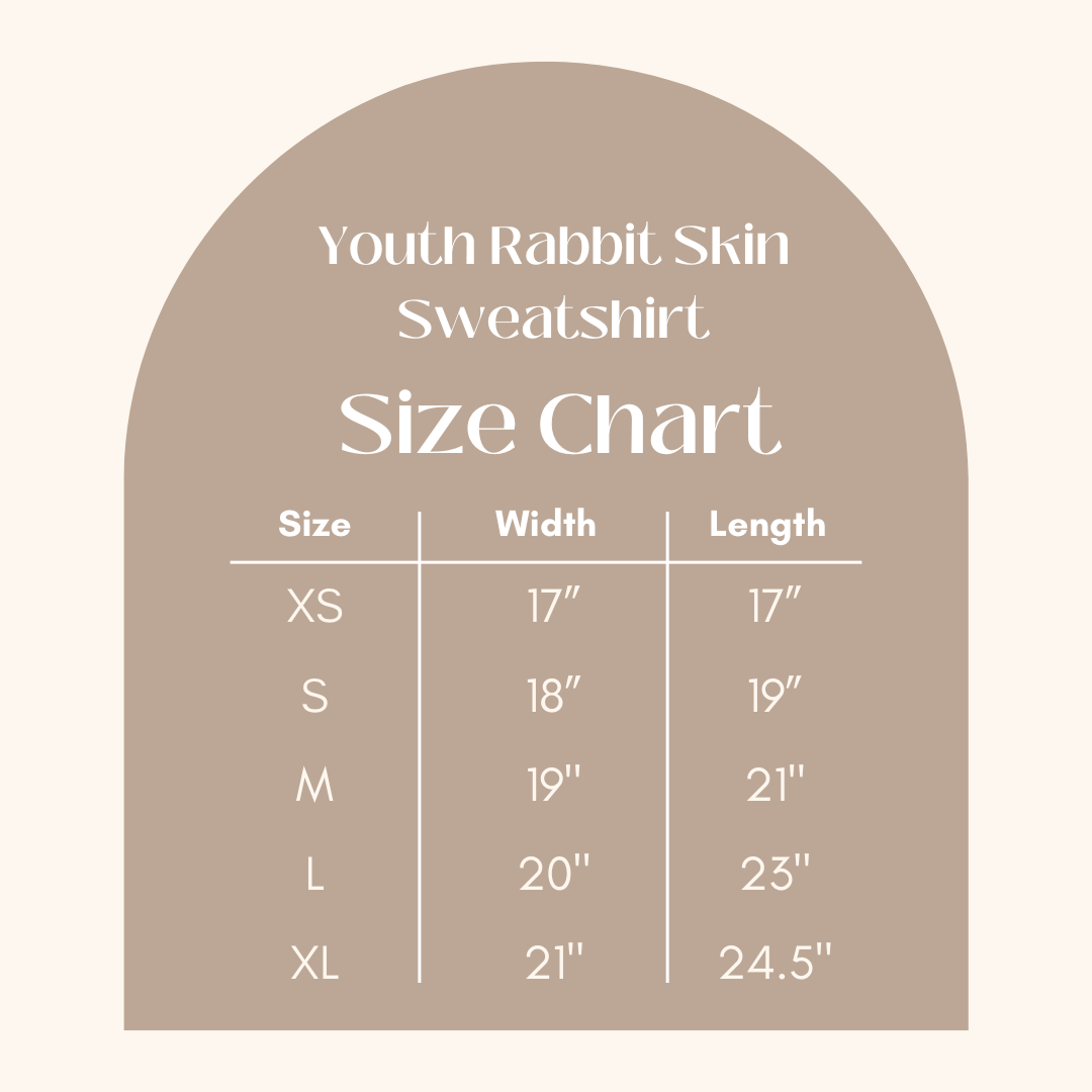 Dino Present | Youth Ultra-Soft Graphic Sweatshirt product image 4