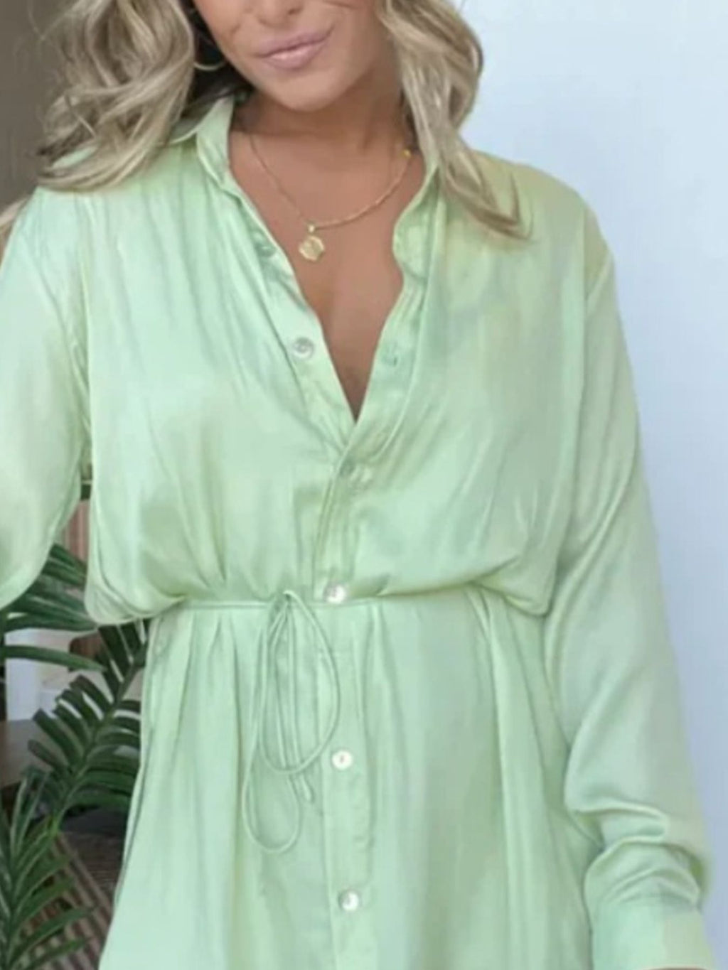 Full Size Button-Down Mini Shirt Dress product image 2