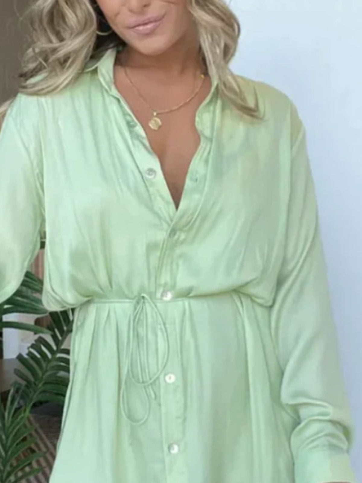 Full Size Button-Down Mini Shirt Dress product image 2